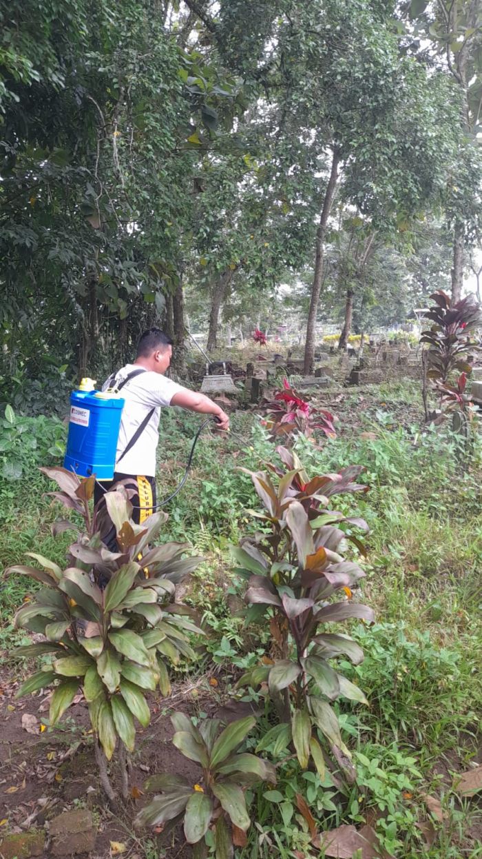 PENYEMPROTAN RUMPUT DI KUBURAN KARANGDUREN 01