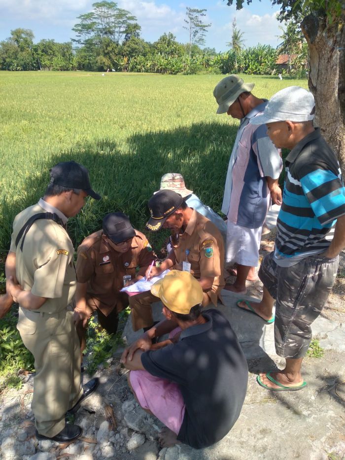 PENGECEKAN SAWAH EKS BENGKOK KELURAHAN YANG AKAN DIUSULKAN PENURUNAN KELAS 01